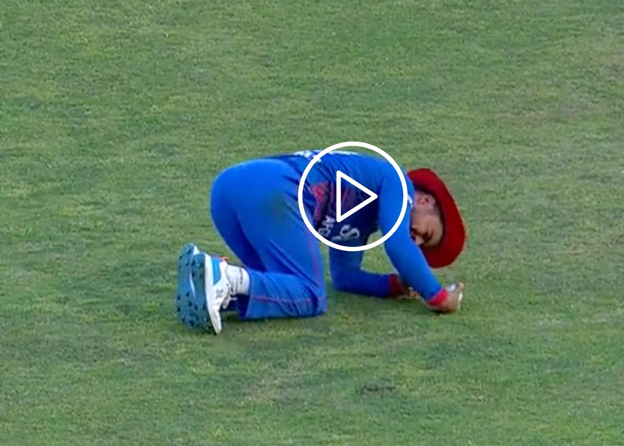 [Watch] Rashid Khan Injures Himself Badly After A 'Spectacular' Catch